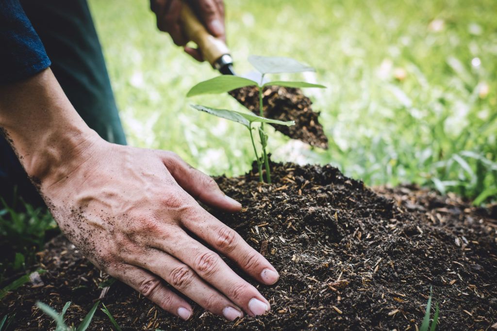 Ground-up animals