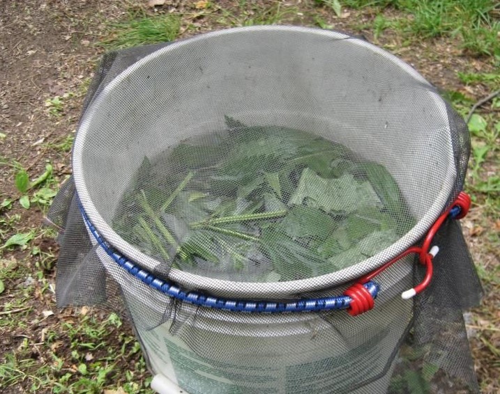 Fertilizing Your Celery