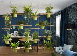 Everyday Benefits of Creating an Indoor Garden in Your Home