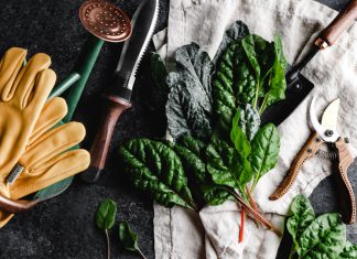 Essential DIY Tools for Home Gardening