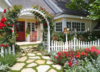 Setting a Garden in Your New Home: Key Things to Consider