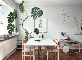 17 Attractive Green Ornamental Plants for You to Grow in Your Home