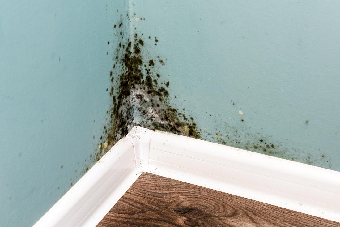 Prevent Mold Growth