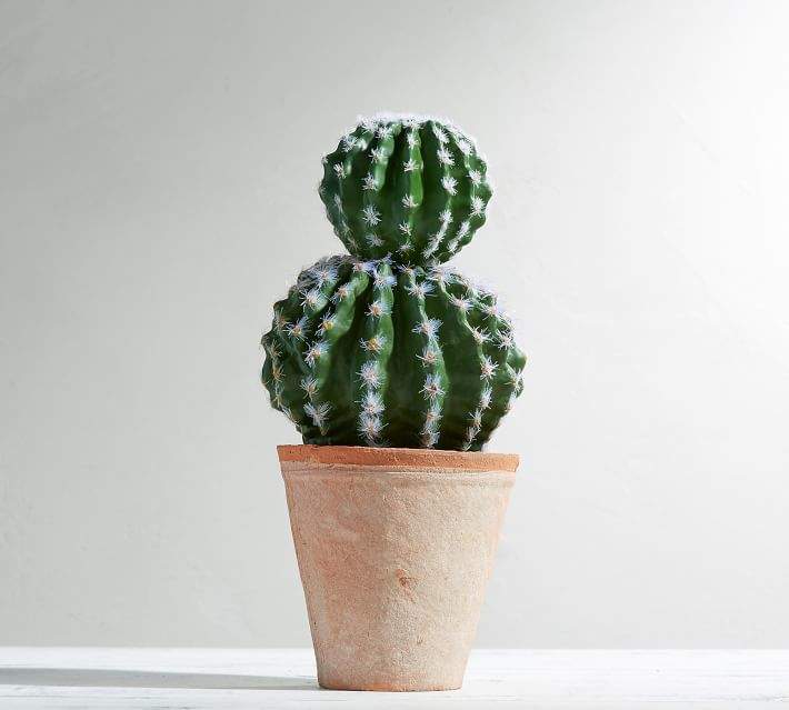 Double Ball Cactus