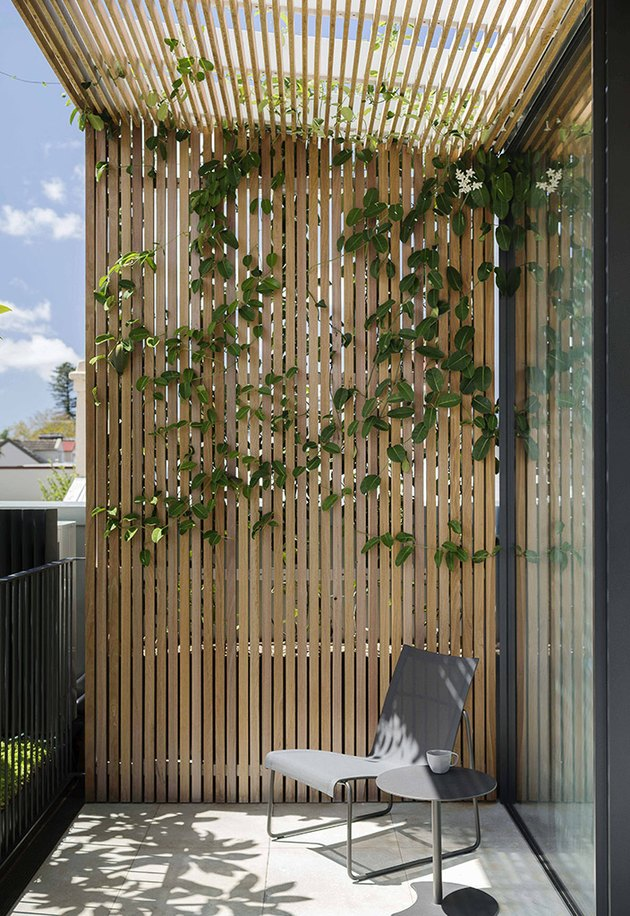Minimalist Balcony with Vining Plant