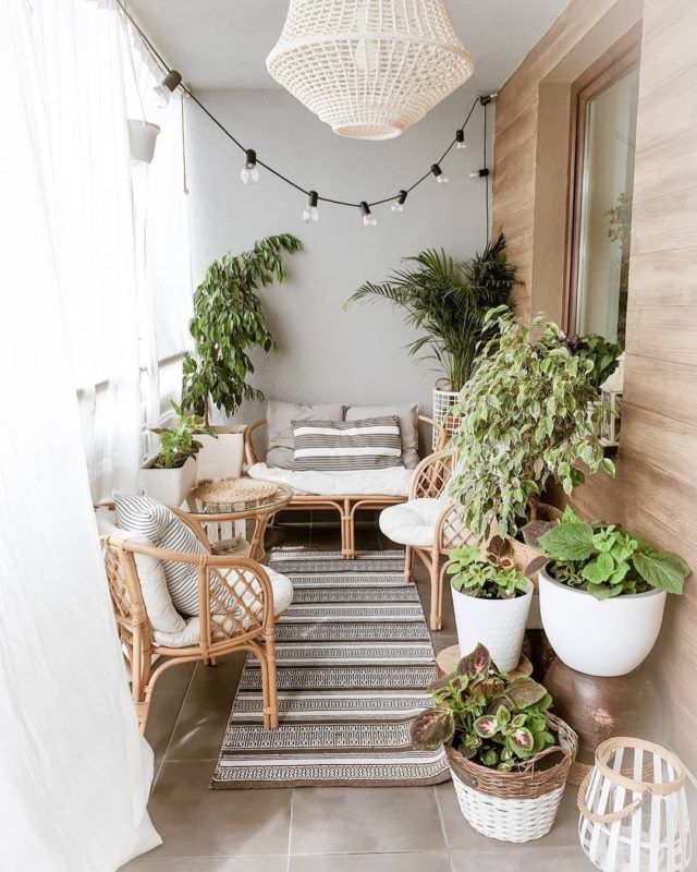 Some Tall Plants with Elegant Ivory Blind in Balcony