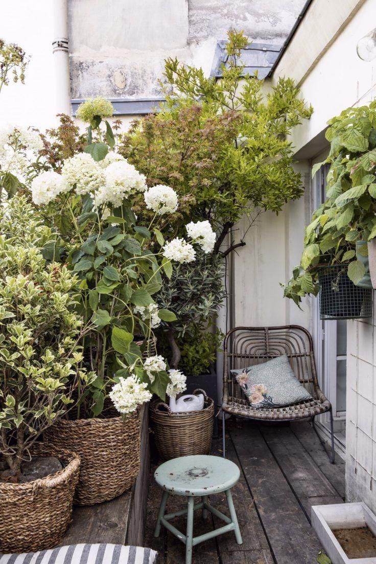Modern Garden-Like Balcony with Hydrangea Plant