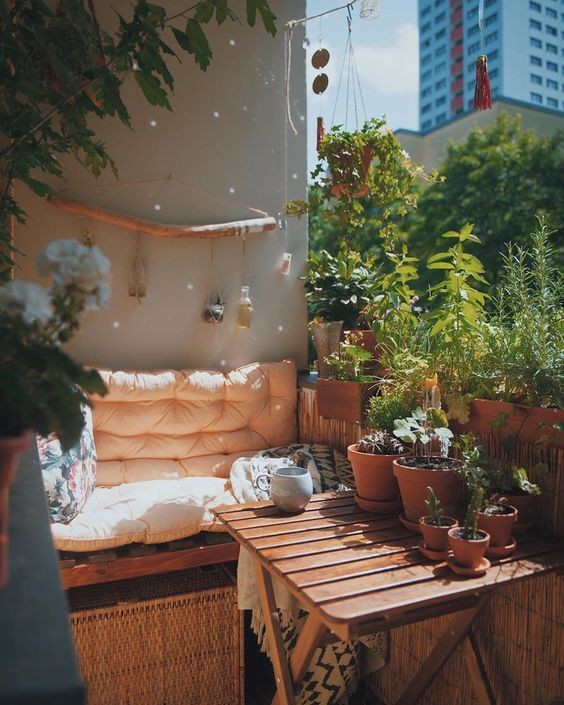 Some Herb Plants to Decorate Your Balcony