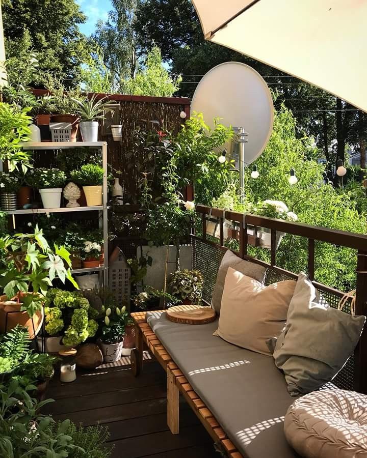 Wall Plants to Create An Aesthetic Balcony