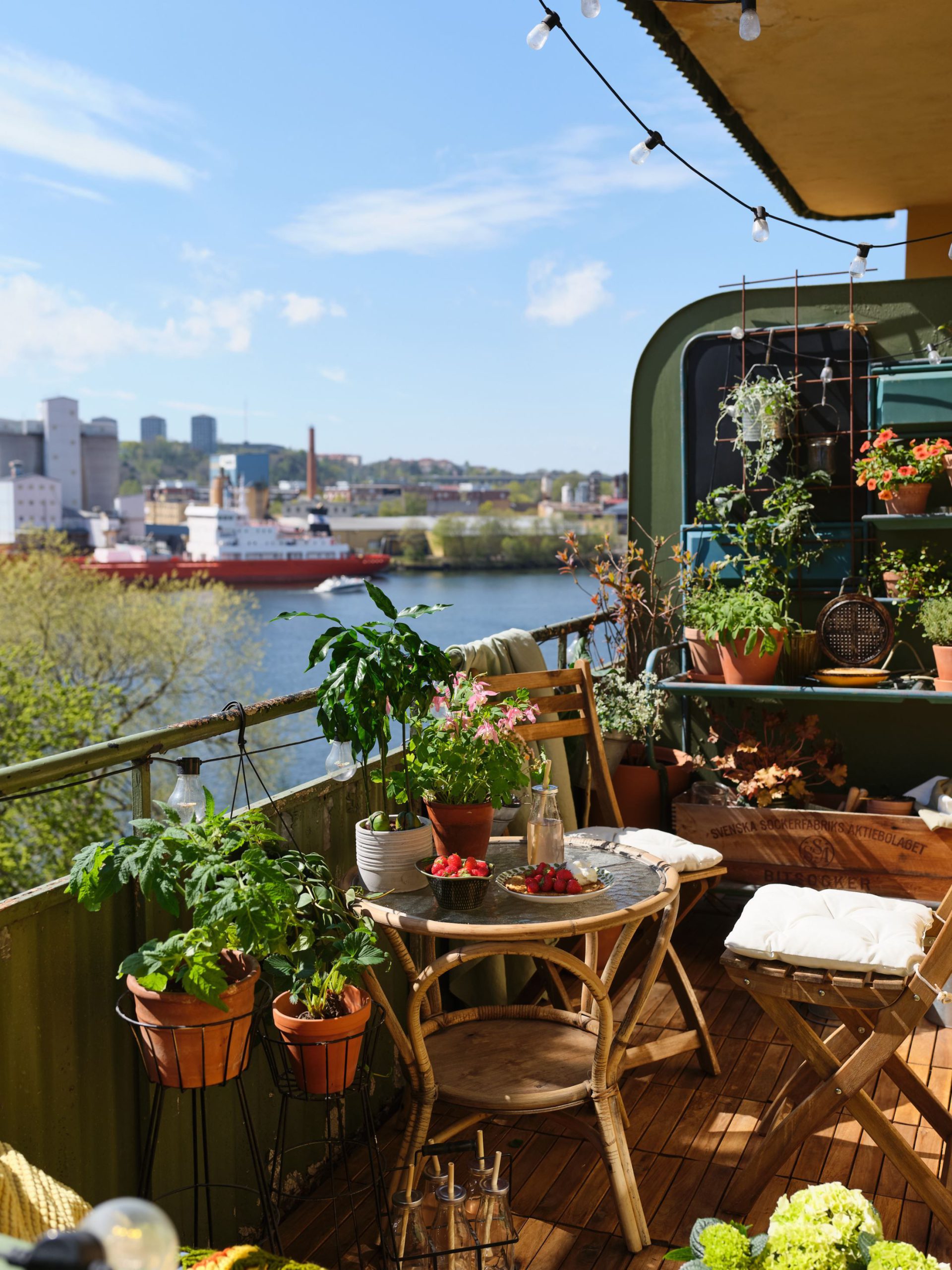 A Mini Garden to Grow Herbs and Flowers