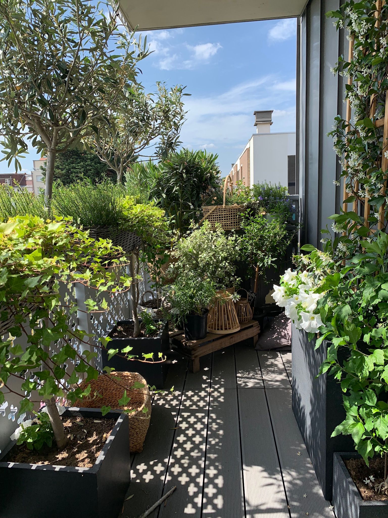 Beautiful Landspace of Green Plants on Balcony