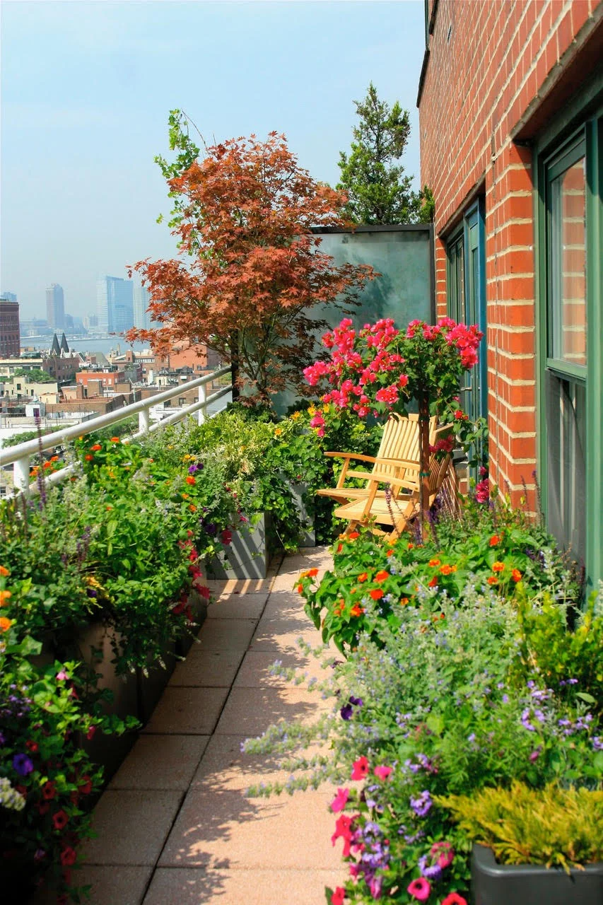 Growing Lots of Flowers for A Mini Garden in Balcony