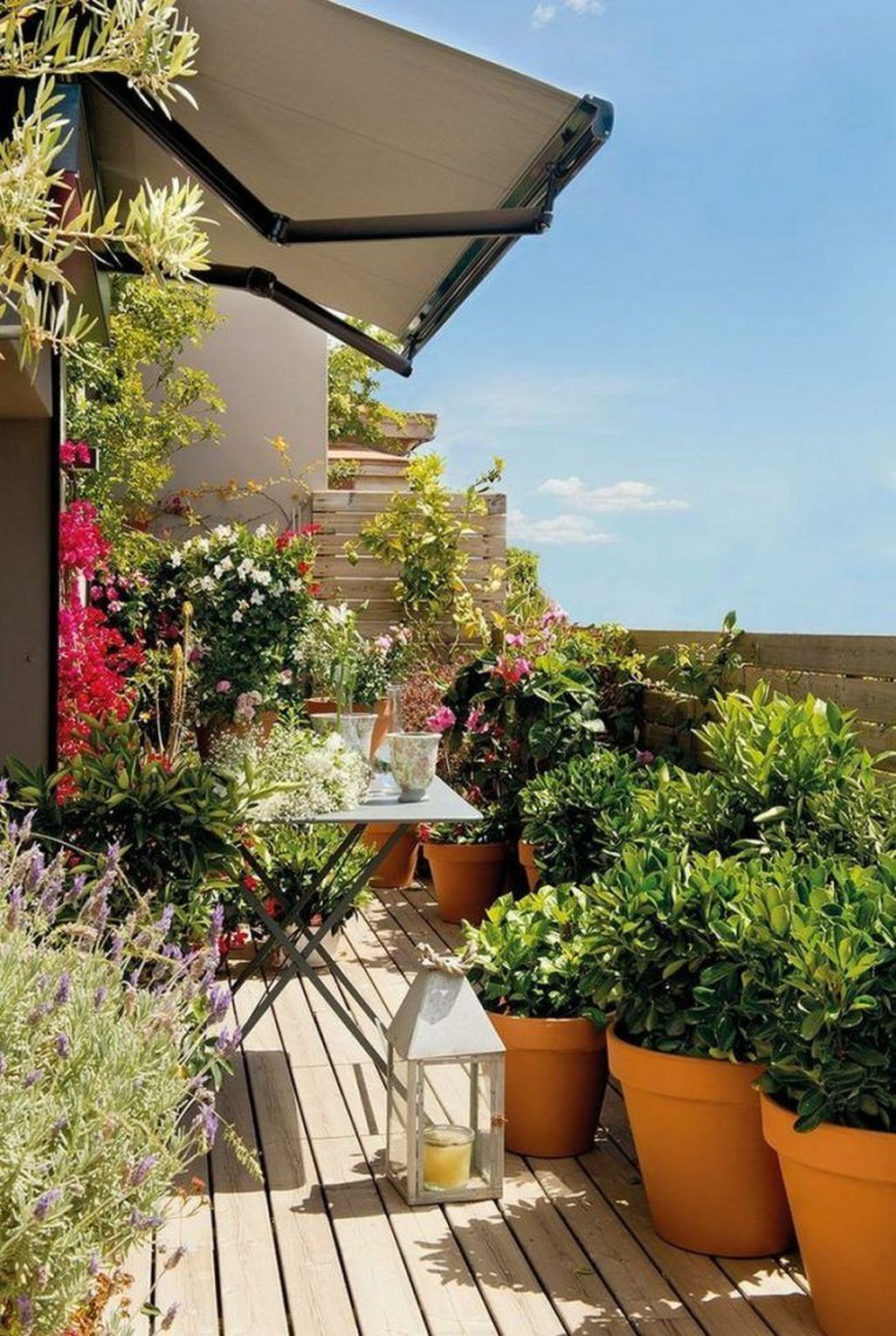 Various Plants to Make A Botanical Balcony