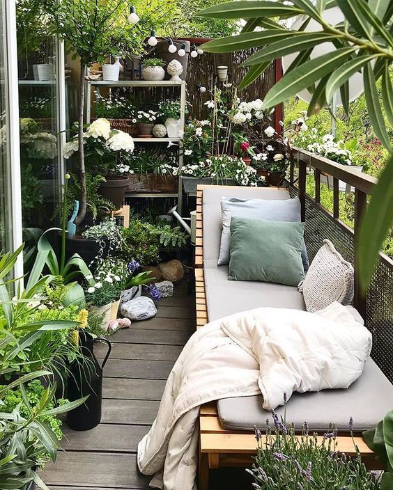 White Flowers to Bring Elegance to Your Balcony