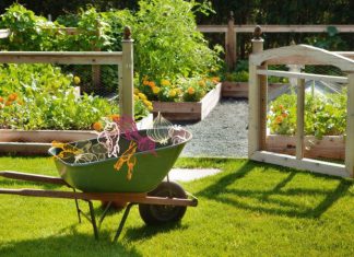 Ultimate Gardening Guide to Give Your Home a Fresh Look