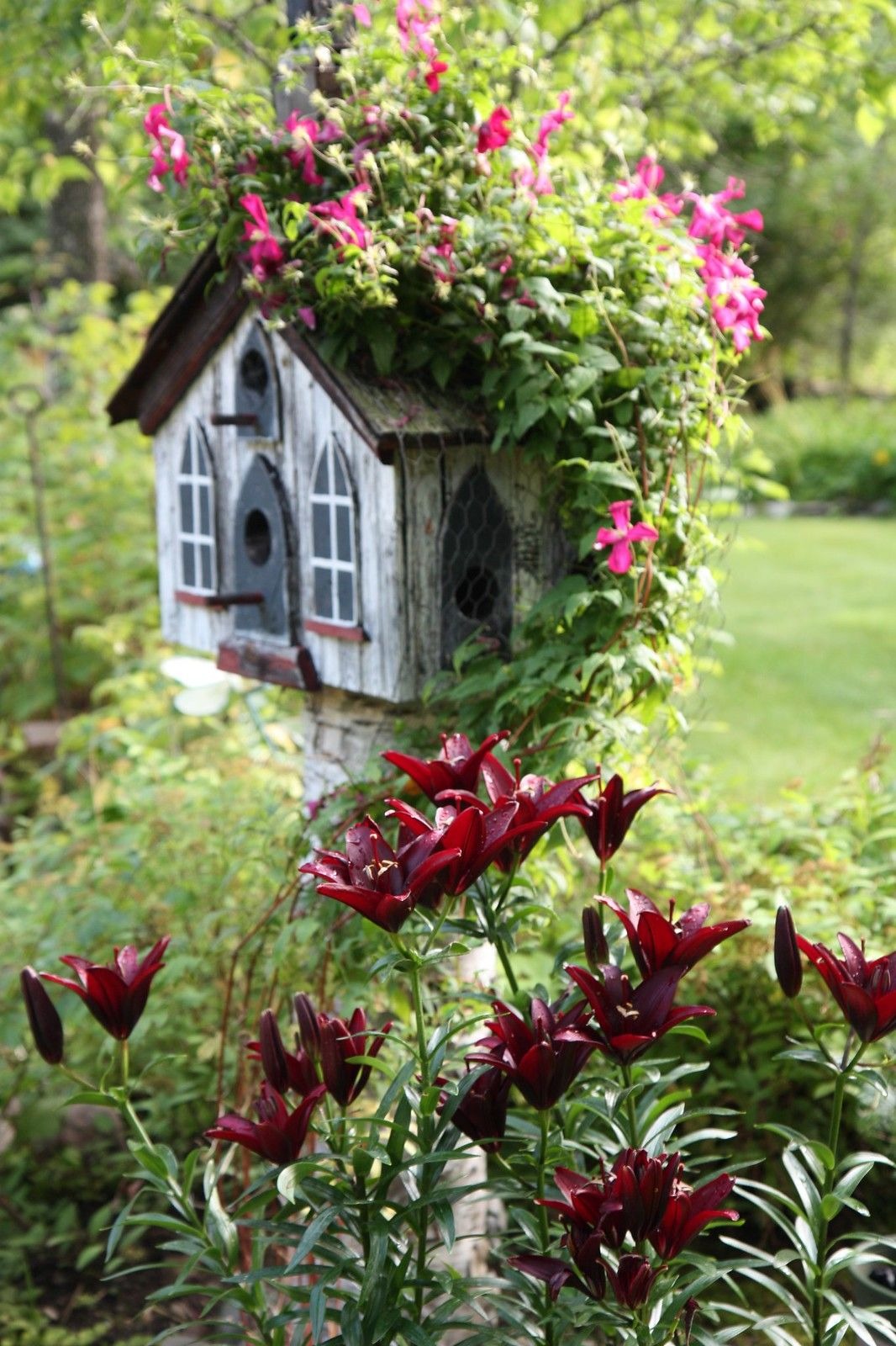 Decorative House Bird