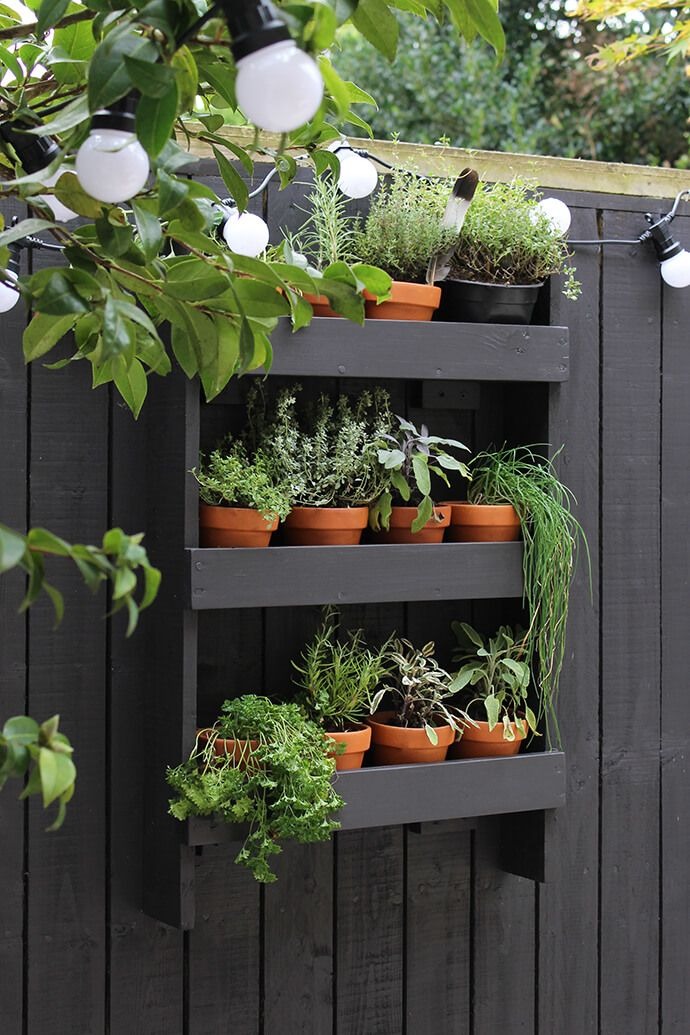 Wallshelf for Houseplants