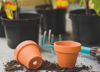 Tips for Container Gardening At Your Lake Home