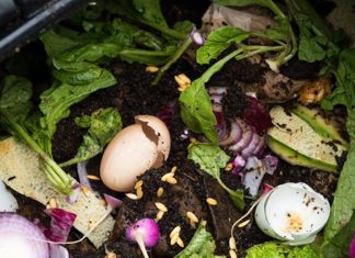 18 Compost Ingredients from Brown and Green Materials to Make An Organic Fertilizer