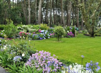 18 Beautiful Perennial Plants to Grow in Your Garden Edges