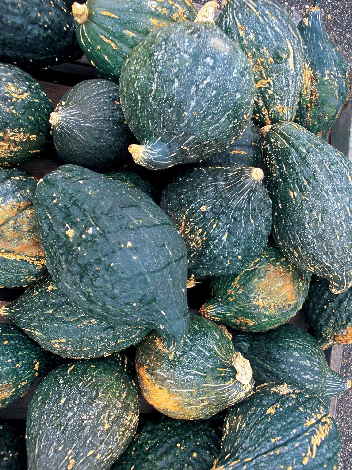 Squash skins