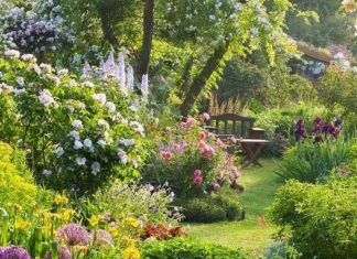 19 Tips for Garden Layout: Make Proper Preparations Before Designing