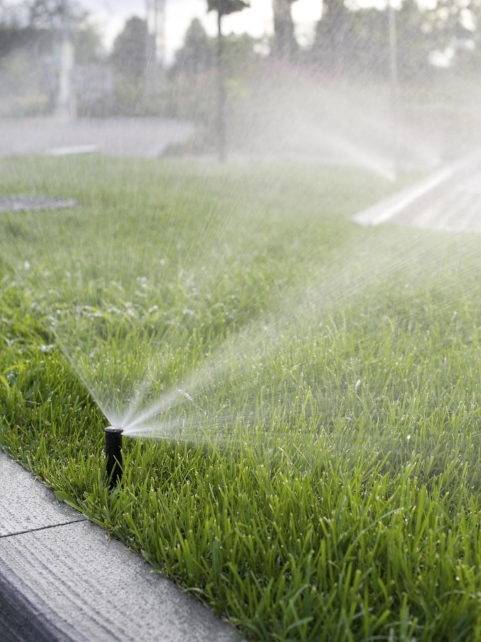 Keep Watering the Beautiful Lawn