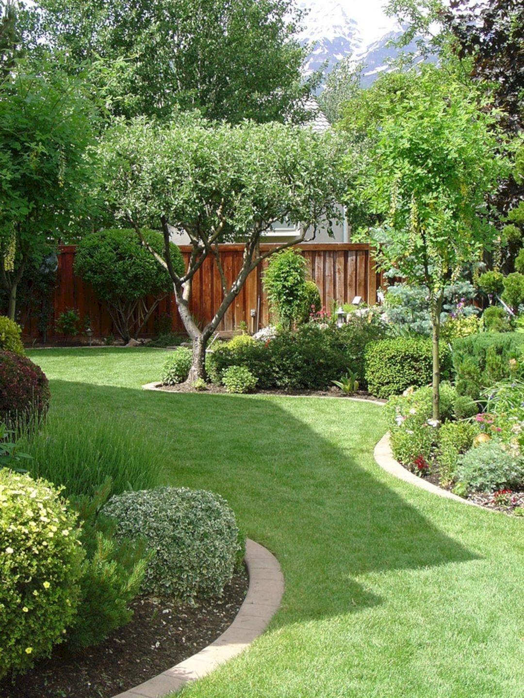 Growing Ornamental Green Lawn