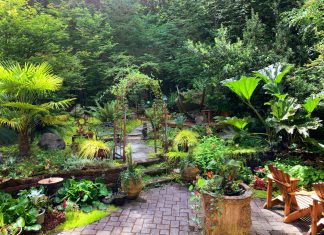 17 Rocky Garden Ideas: Grow Your Succulents in A Perfect Landscape