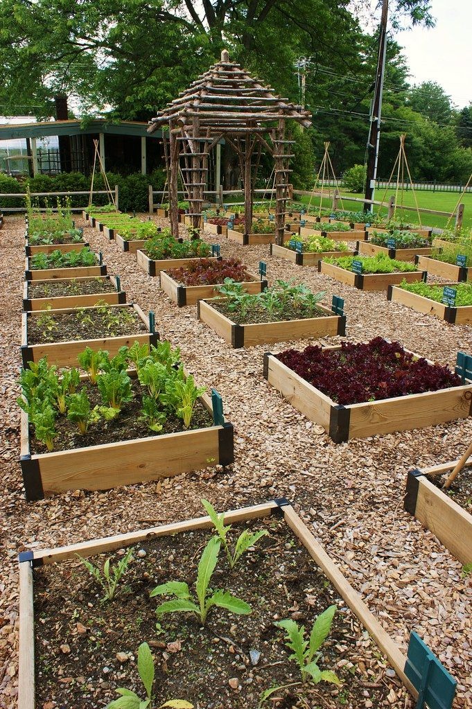 Get More Raised Beds