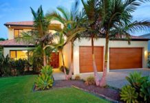 17 Palm Tree Varieties for Tropical Nuance in Sunny Garden