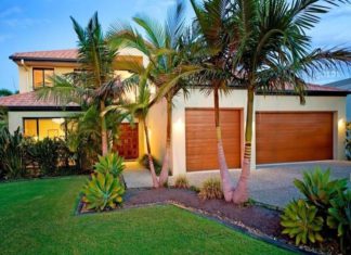 17 Palm Tree Varieties for Tropical Nuance in Sunny Garden