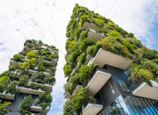 4 Techniques for Sustainable Building Construction